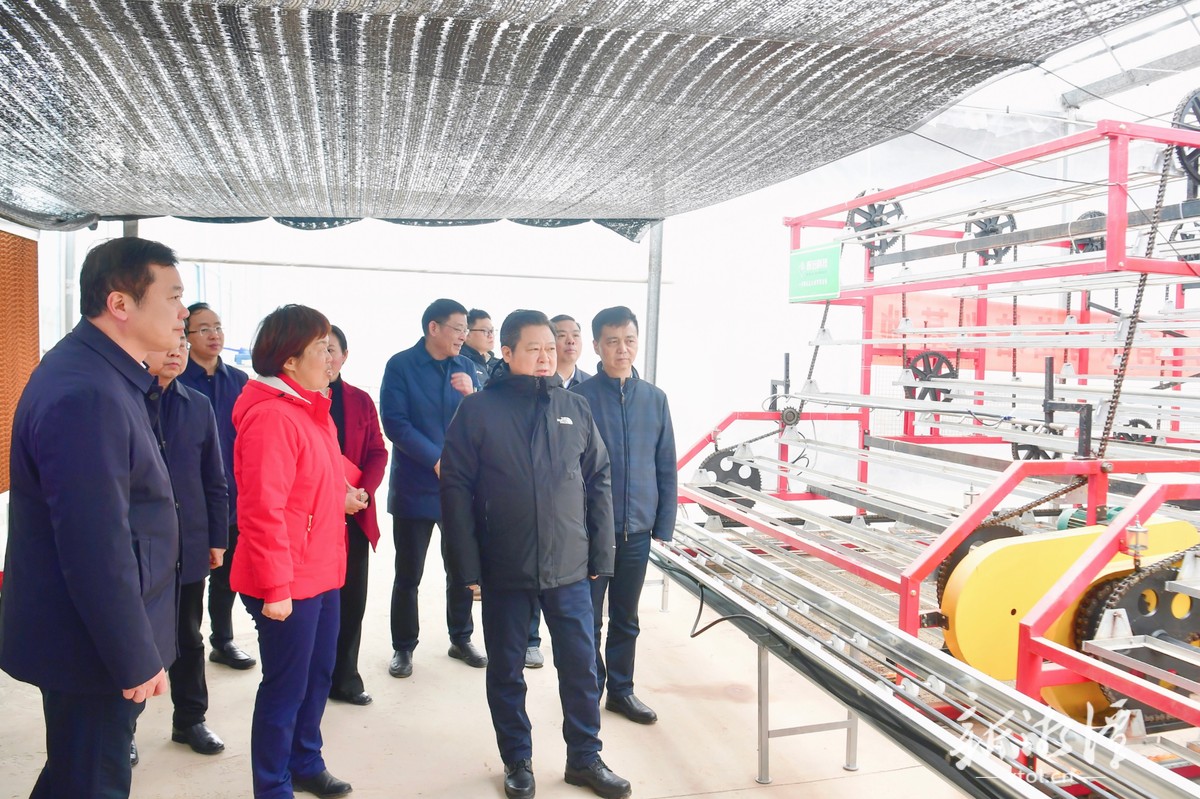 刘志仁在排头乡仓冲村春静水稻种植专业合作社督查集中育秧设施建设、高标准农田建设投贷联动、“六统四定”统分结合等工作开展情况。（全媒体记者 方阳 摄）.png